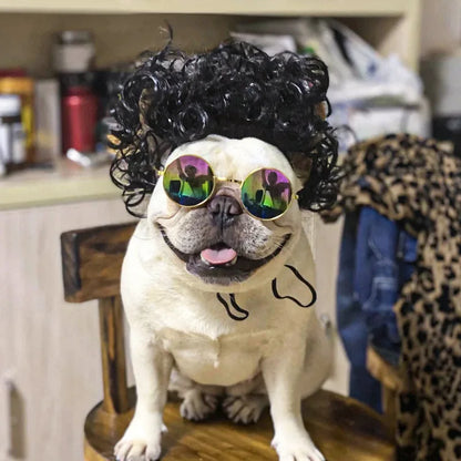 Pet Wigs Cosplay Props Dog Cat Cross-Dressing Hair Set Photography Funny Props Head Accessories Prank Pet Supplies Costumes DIY